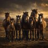 Chevals de nomades