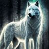 Loup des Vents