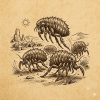 Puces des Sables